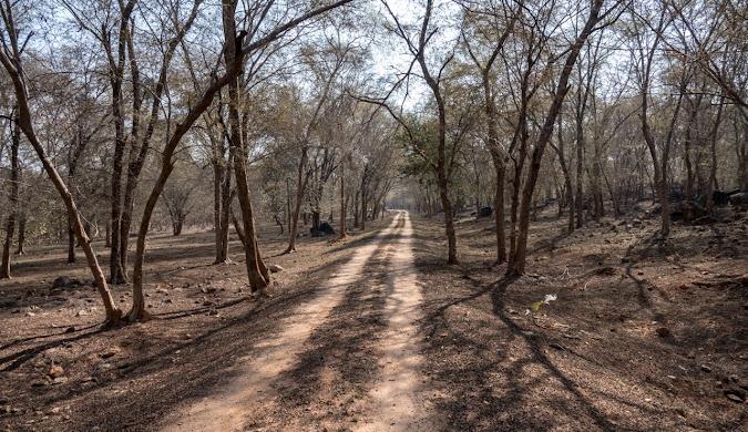 Orchha Wildlife Safari