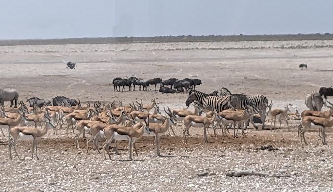Namibia (Southern Africa)
